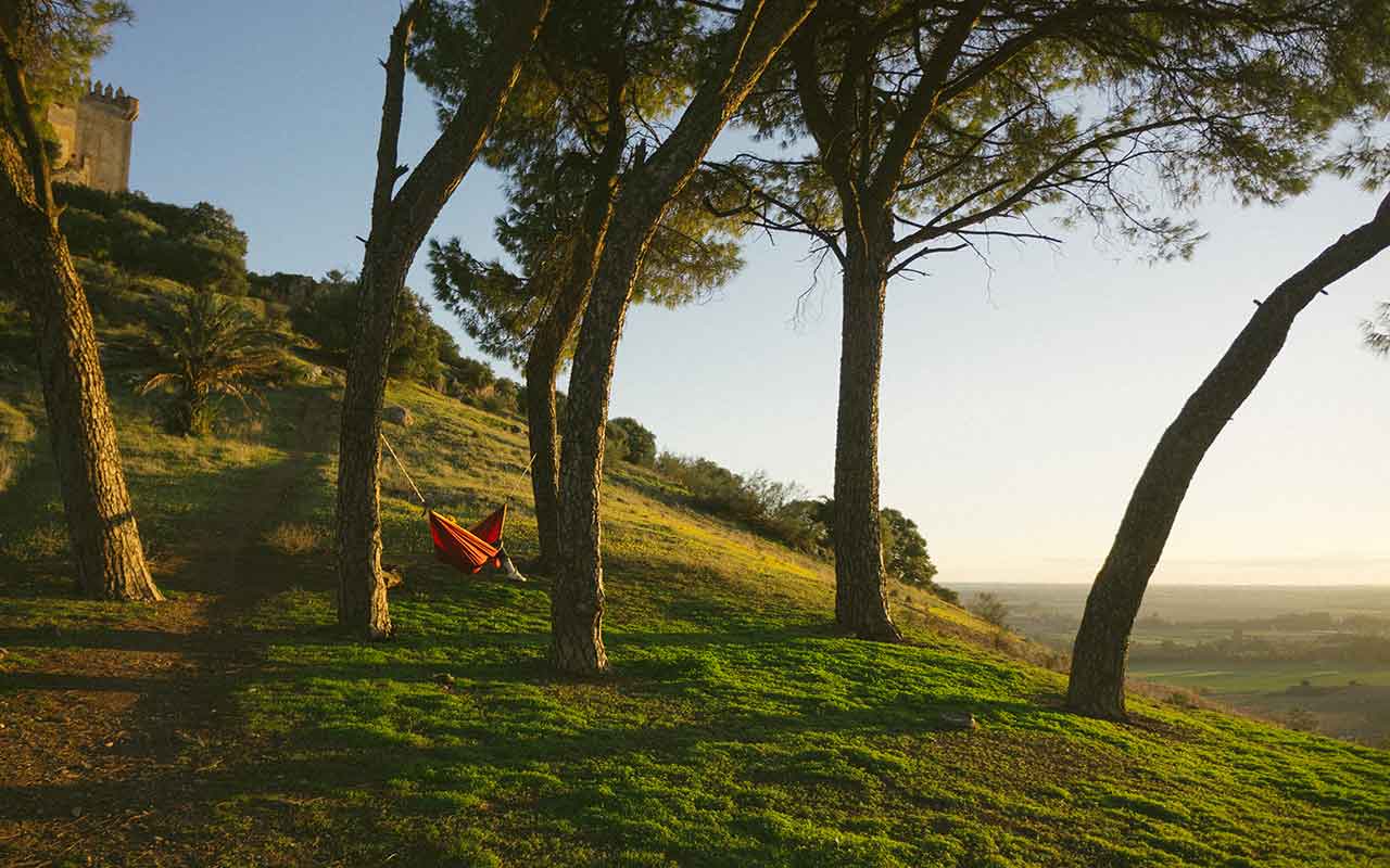 forêt de Courléon et le massif de Baugé